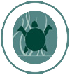 Christenson Family Orthodontics Logo - Turtle inside an O