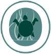 Christenson Family Orthodontics Logo - Turtle inside O